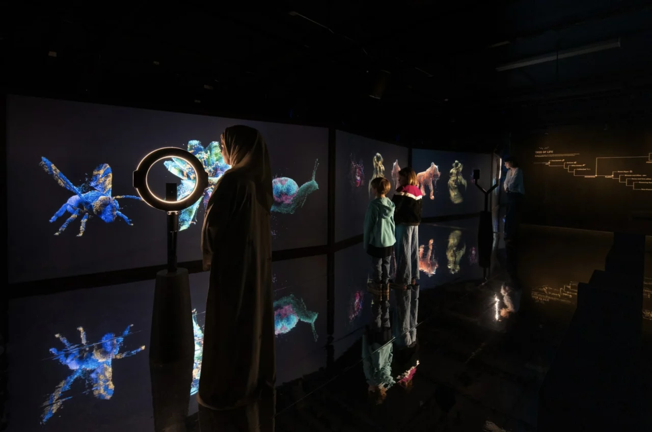 You:Matter - Tree of Life 3