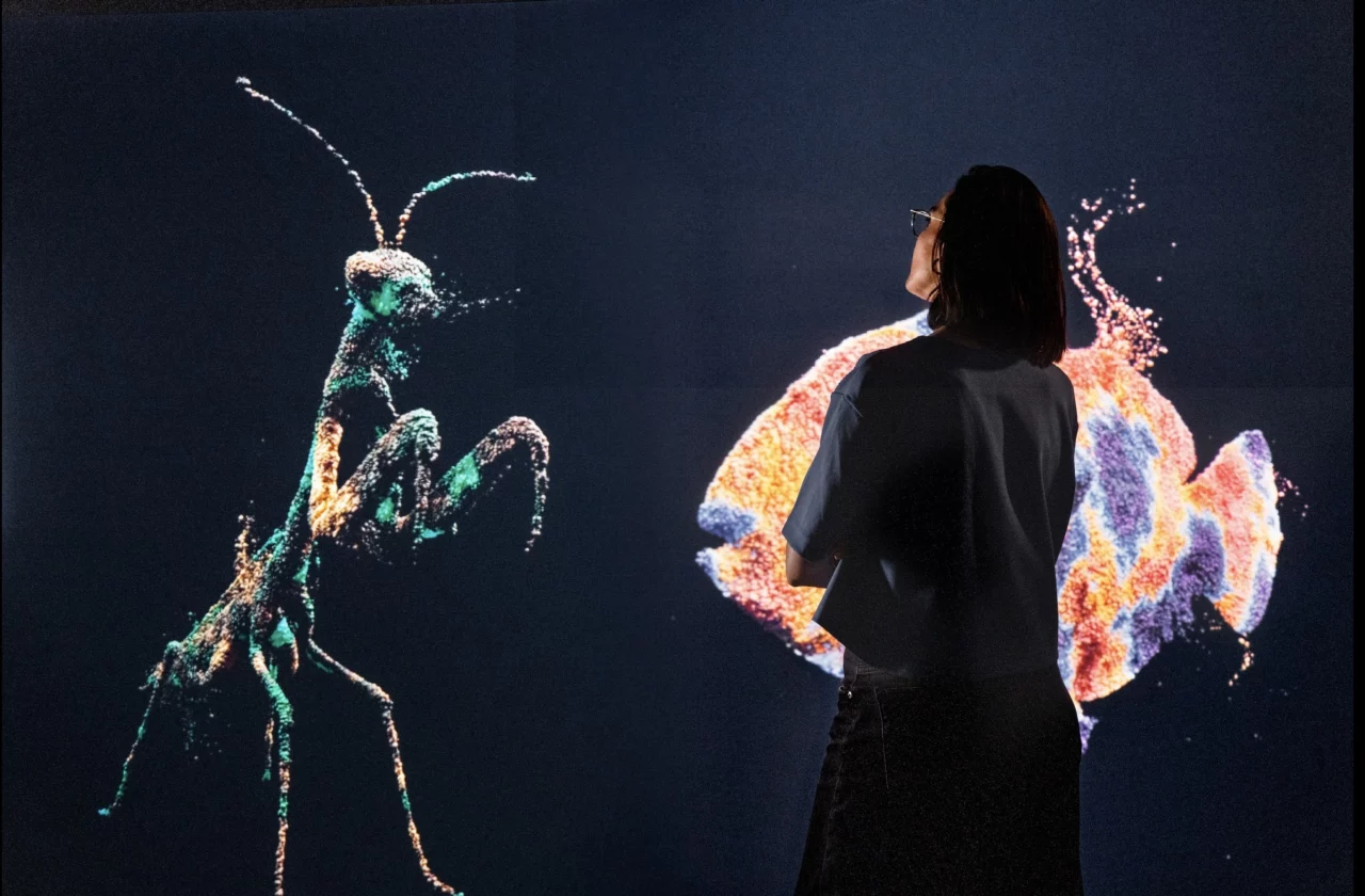 You:Matter - Tree of Life 4